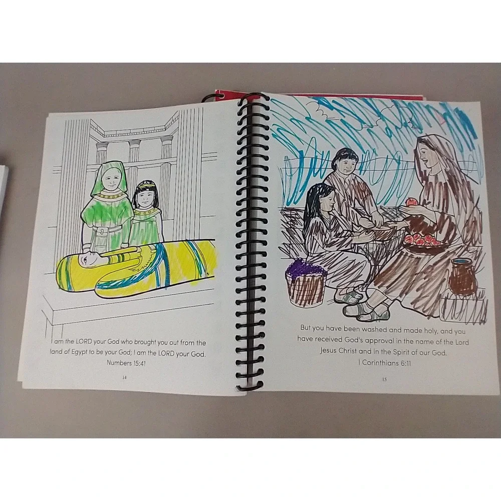 Apologia Junior Anatomy and Physiology Notebooking Journal Young Explorer Series